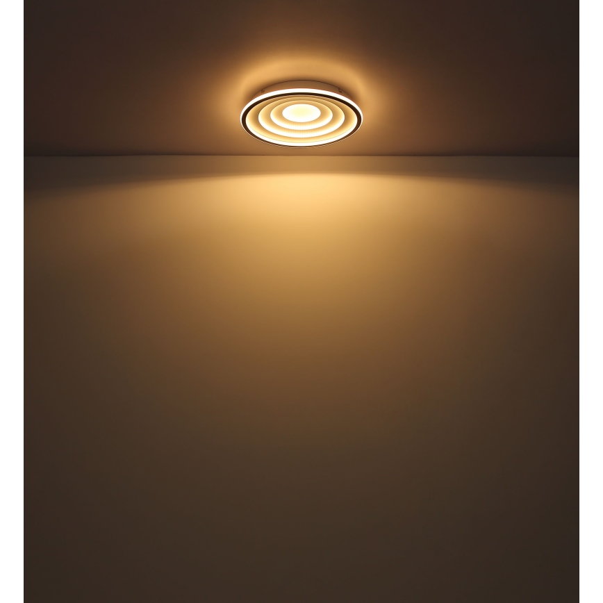 Globo - LED Ceiling light LED/24W/230V