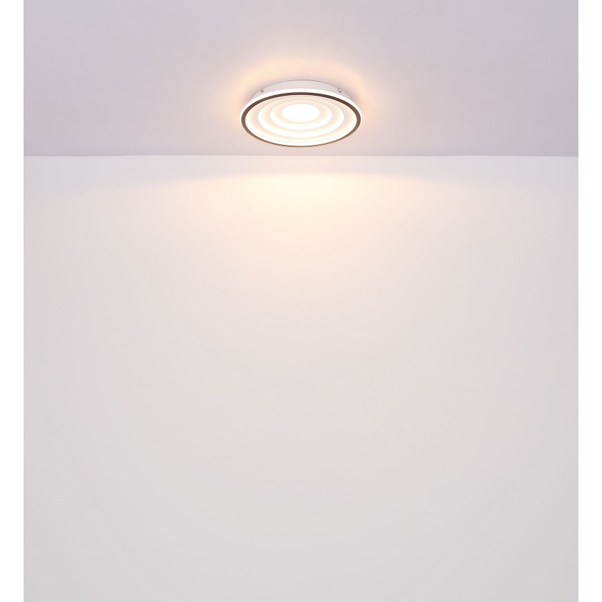 Globo - LED Ceiling light LED/24W/230V