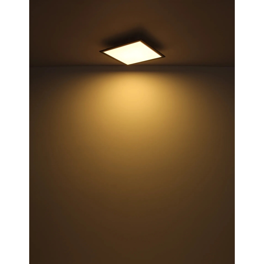 Globo - LED Ceiling light LED/24W/230V