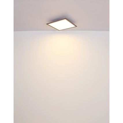 Globo - LED Ceiling light LED/24W/230V