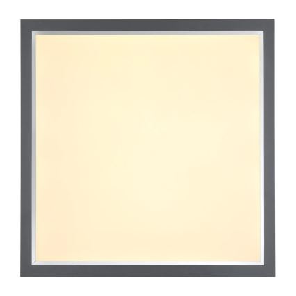 Globo - LED Ceiling light LED/24W/230V