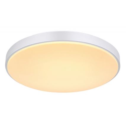 Globo - LED Dimmable ceiling light LED/24W/230V + remote control