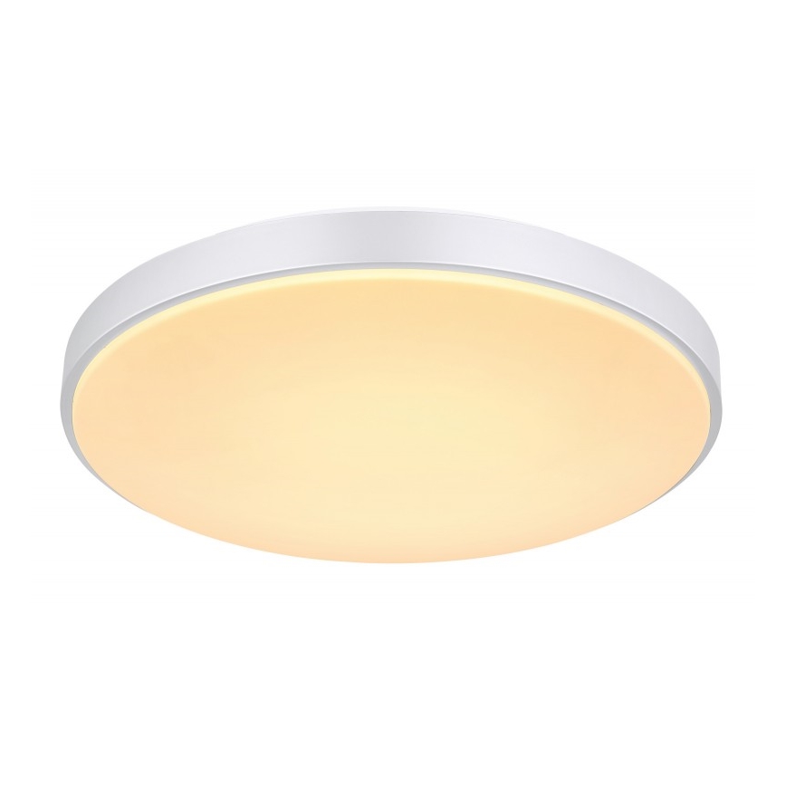 Globo - LED Dimmable ceiling light LED/24W/230V + remote control