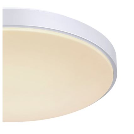 Globo - LED Dimmable ceiling light LED/24W/230V + remote control