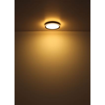 Globo - LED Ceiling light LED/39W/230V d. 40 cm