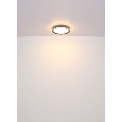 Globo - LED Ceiling light LED/39W/230V d. 40 cm