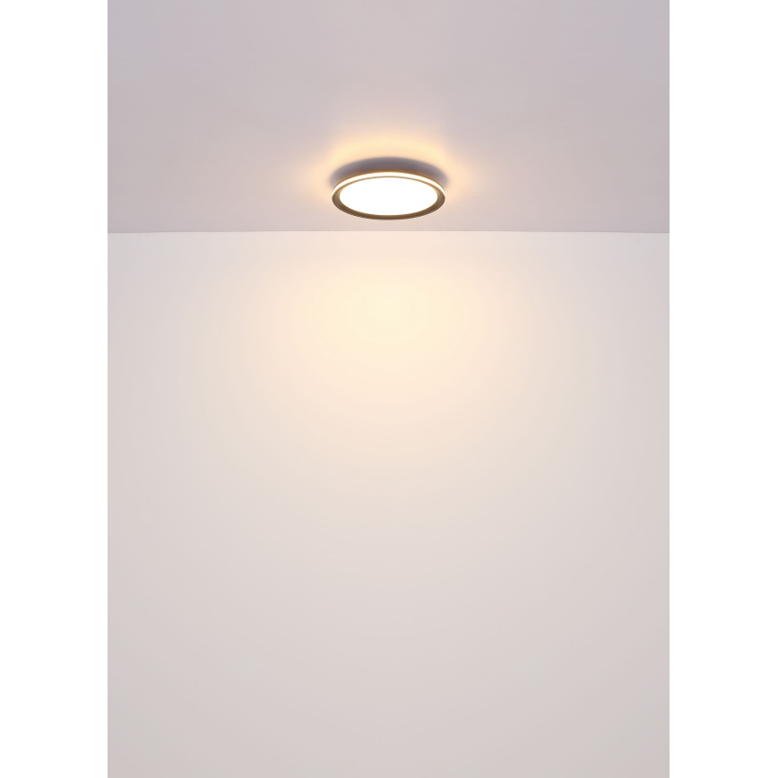 Globo - LED Ceiling light LED/39W/230V d. 40 cm