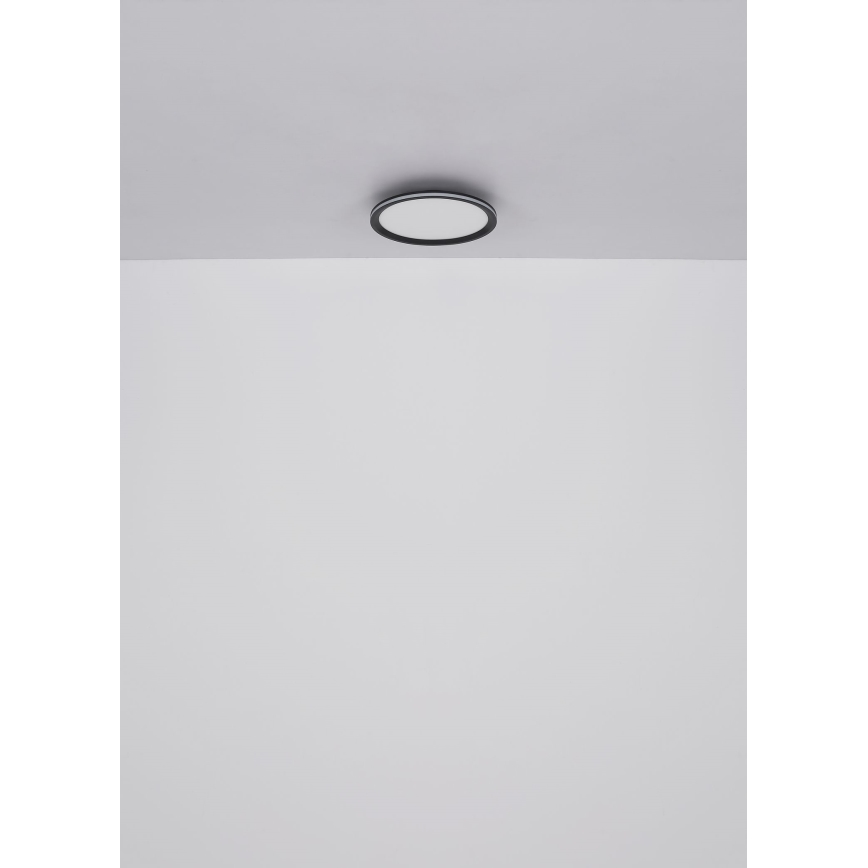 Globo - LED Ceiling light LED/58W/230V d. 50 cm
