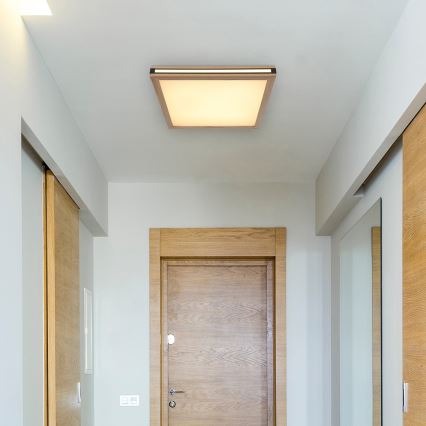 Globo - LED Ceiling light LED/24W/230V 45x45 cm