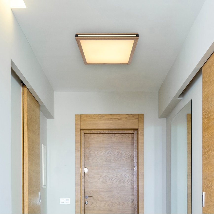 Globo - LED Ceiling light LED/24W/230V 45x45 cm