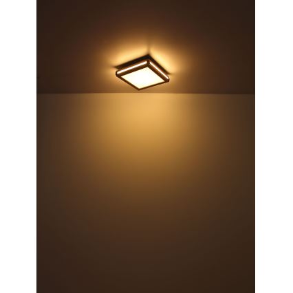Globo - LED Ceiling light LED/24W/230V 45x45 cm