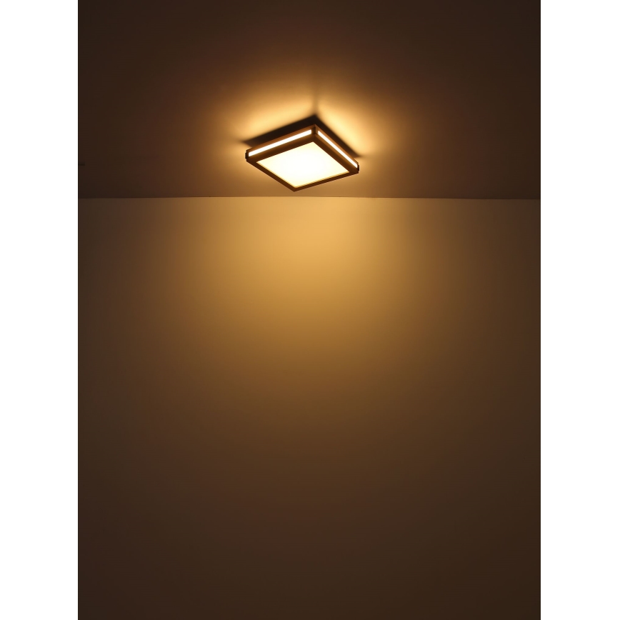 Globo - LED Ceiling light LED/24W/230V 45x45 cm