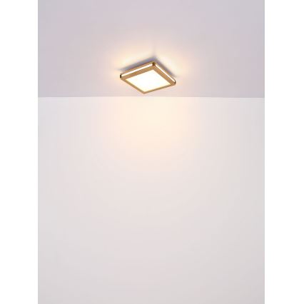 Globo - LED Ceiling light LED/24W/230V 45x45 cm