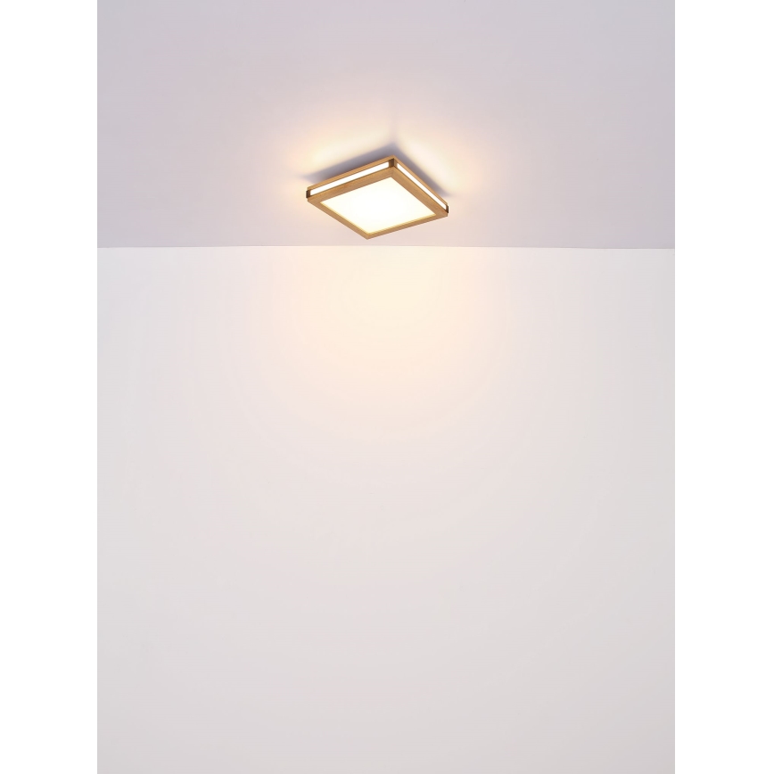Globo - LED Ceiling light LED/24W/230V 45x45 cm