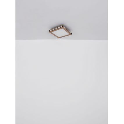 Globo - LED Ceiling light LED/24W/230V 45x45 cm