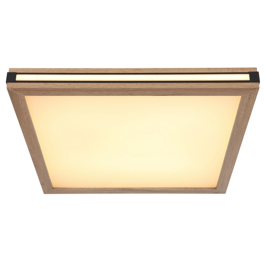 Globo - LED Ceiling light LED/24W/230V 45x45 cm