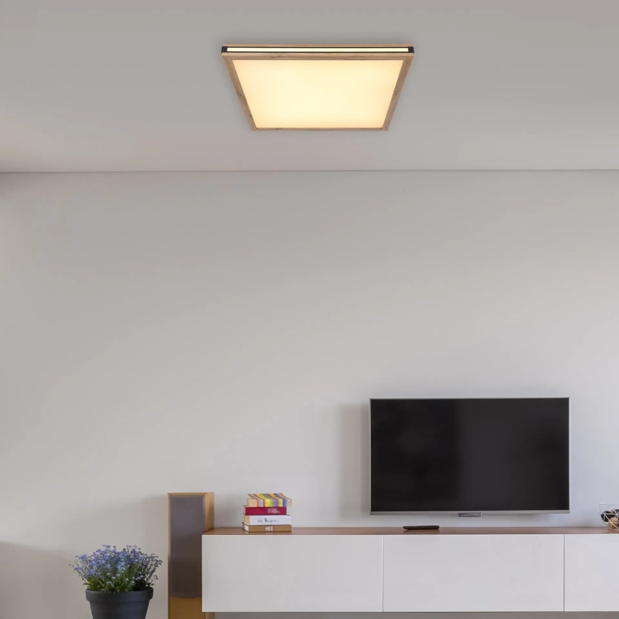 Globo - LED Dimmable ceiling light LED/36W/230V 3000K 60x60 cm
