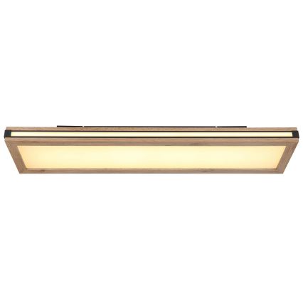 Globo - LED Ceiling light LED/24W/230V 20x80 cm