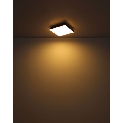 Globo - LED Dimmable ceiling light LED/24W/230V 2700-6500K black + remote control