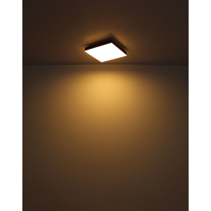 Globo - LED Dimmable ceiling light LED/24W/230V 2700-6500K black + remote control