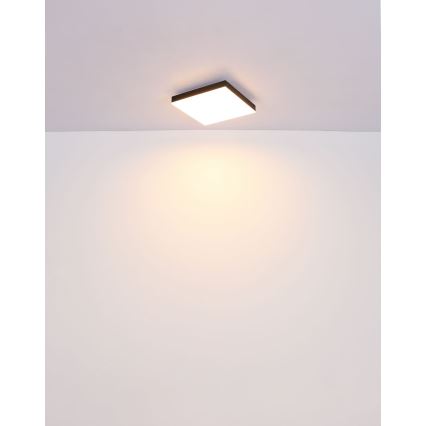 Globo - LED Dimmable ceiling light LED/24W/230V 2700-6500K black + remote control
