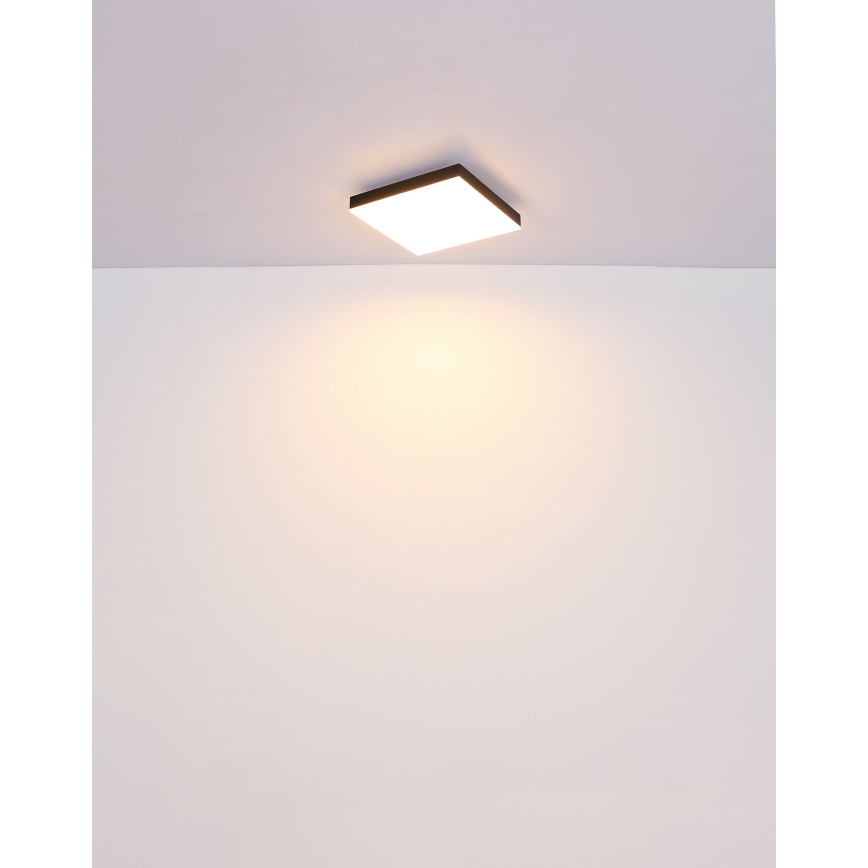Globo - LED Dimmable ceiling light LED/24W/230V 2700-6500K black + remote control