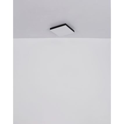 Globo - LED Dimmable ceiling light LED/24W/230V 2700-6500K black + remote control
