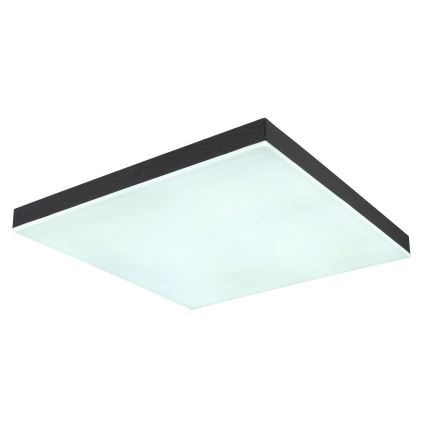 Globo - LED Dimmable ceiling light LED/24W/230V 2700-6500K black + remote control