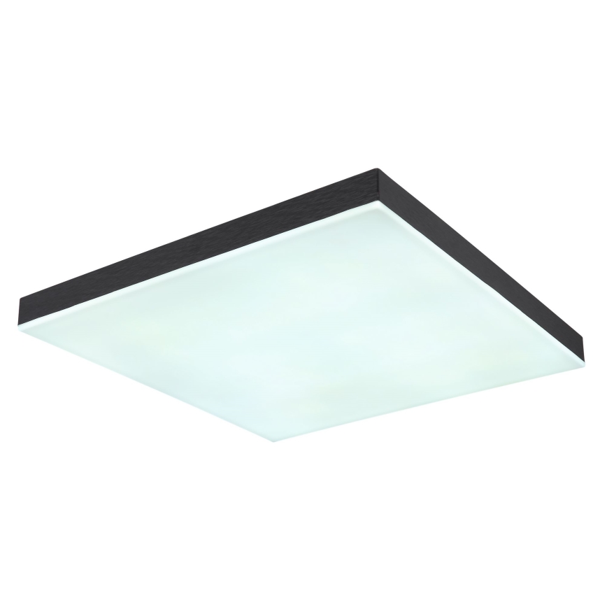 Globo - LED Dimmable ceiling light LED/24W/230V 2700-6500K black + remote control