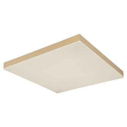 Globo - LED Dimmable ceiling light LED/24W/230V 2700-6500K gold + remote control