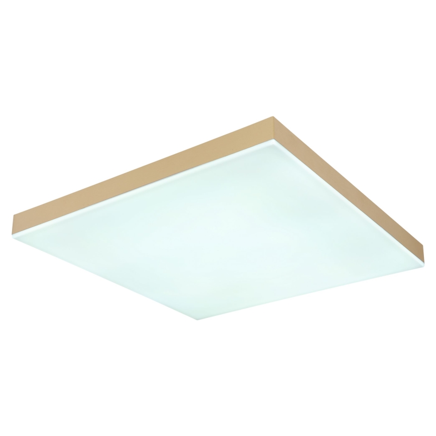 Globo - LED Dimmable ceiling light LED/24W/230V 2700-6500K gold + remote control