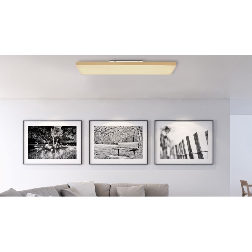 Globo - LED Dimmable ceiling light LED/24W/230V 2700-6500K gold + remote control