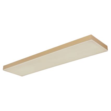 Globo - LED Dimmable ceiling light LED/24W/230V 2700-6500K gold + remote control