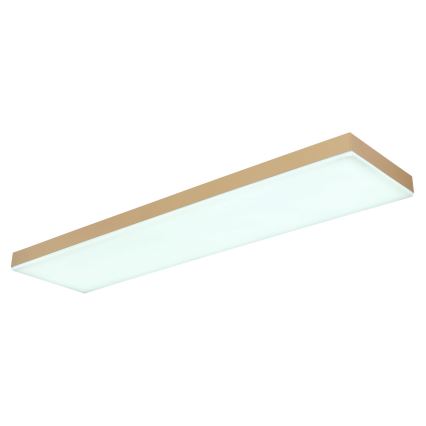 Globo - LED Dimmable ceiling light LED/24W/230V 2700-6500K gold + remote control