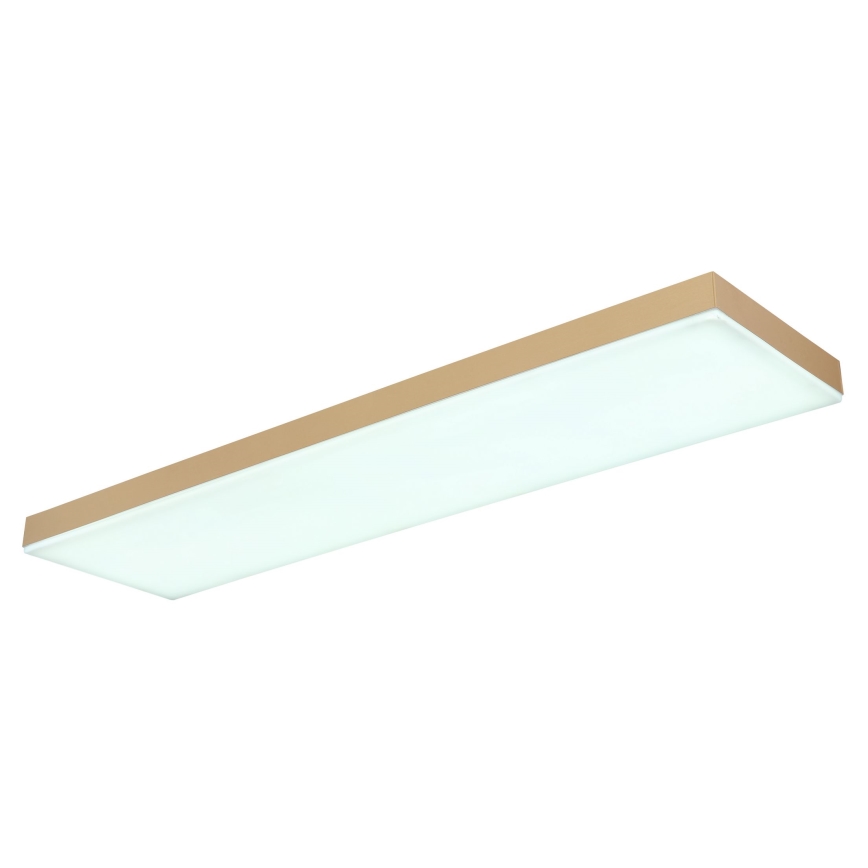 Globo - LED Dimmable ceiling light LED/24W/230V 2700-6500K gold + remote control