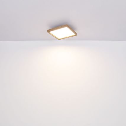 Globo - LED Ceiling light LED/12W/230V 2700/4500/6500K 30x30 cm