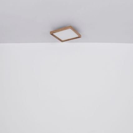 Globo - LED Ceiling light LED/12W/230V 2700/4500/6500K 30x30 cm