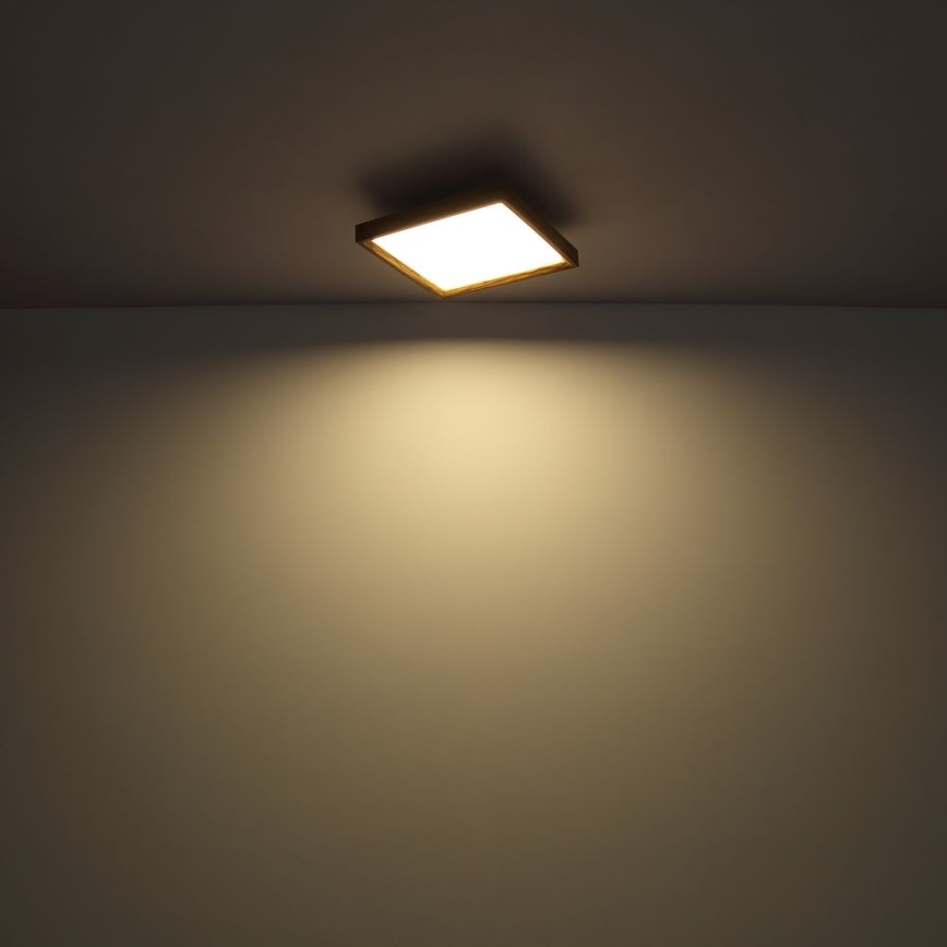 Globo - LED Ceiling light LED/24W/230V 45cm 2700/4500/6500K