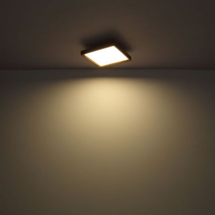 Globo - LED Ceiling light LED/36W/230V 2700/4500/6500K 60x60 cm