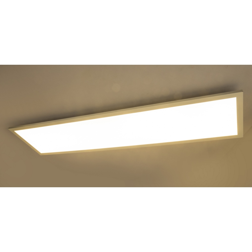 Globo - LED Surface-mounted panel LED/40W/230V