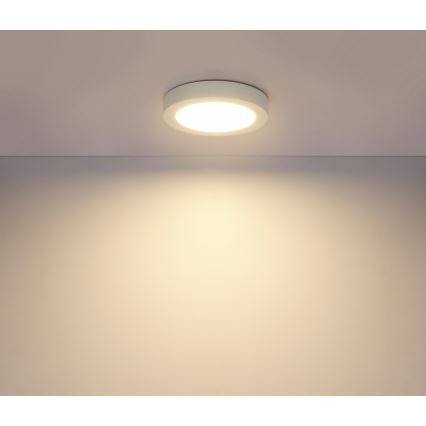 GLOBO 41605-18 - LED bathroom ceiling light PAULA 1xLED/18W/230V IP44
