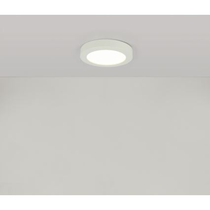 GLOBO 41605-18 - LED bathroom ceiling light PAULA 1xLED/18W/230V IP44