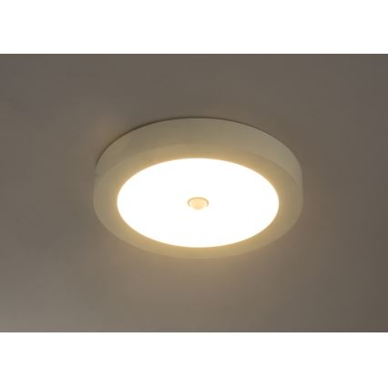 Globo - LED Outdoor ceiling light with sensor 1xLED/18W/230V