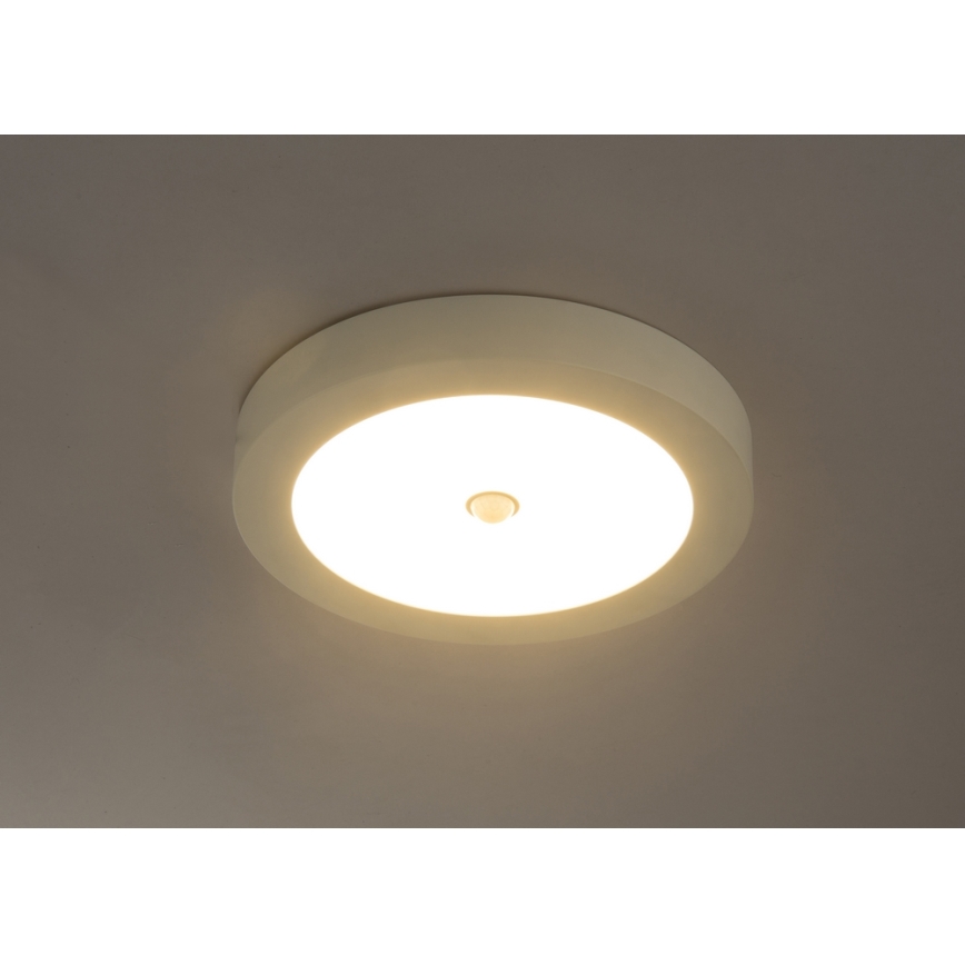 Globo - LED Outdoor ceiling light with sensor 1xLED/18W/230V