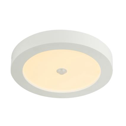 Globo - LED Outdoor Ceiling Light with Built-in Sensor LED/18W/230V IP44
