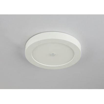 Globo - LED Outdoor Ceiling Light with Built-in Sensor LED/18W/230V IP44