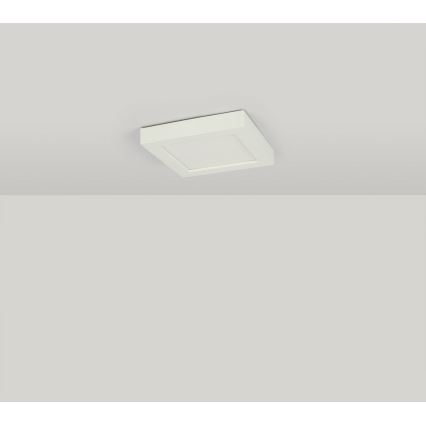 GLOBO 41606-16D - LED Dimming bathroom lighting SVENJA 1xLED/16W/230V IP44