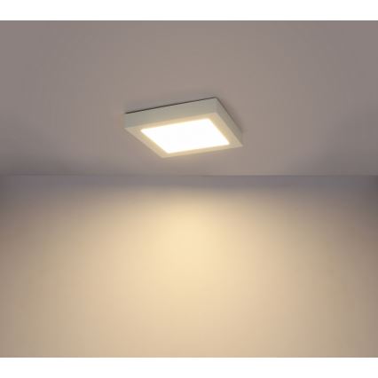 GLOBO 41606-16D - LED Dimming bathroom lighting SVENJA 1xLED/16W/230V IP44