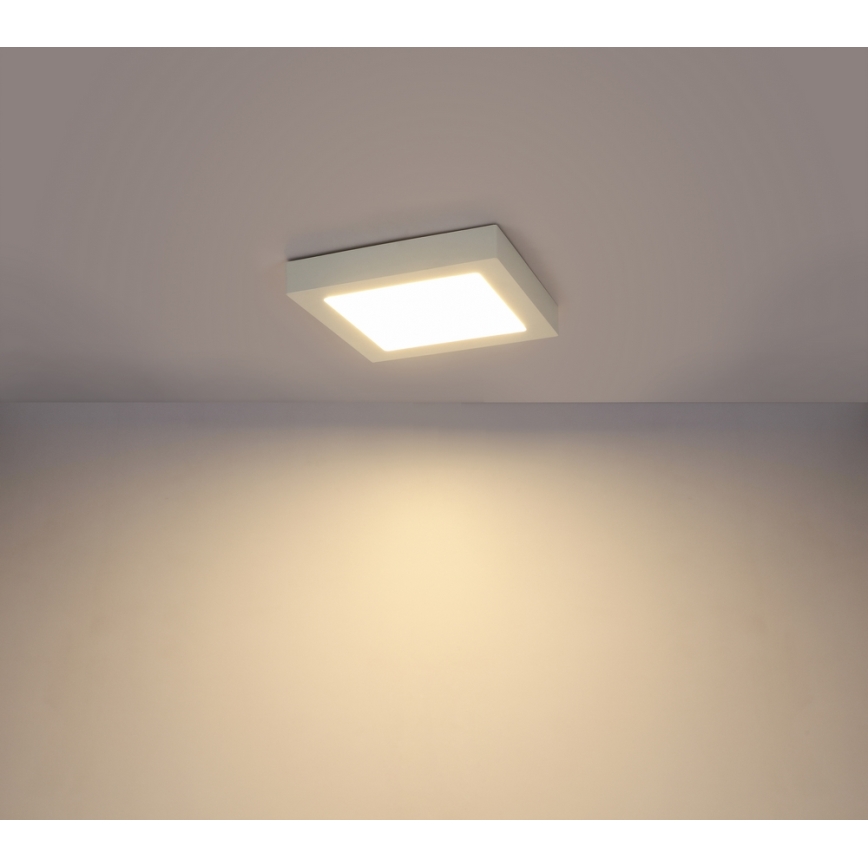 GLOBO 41606-16D - LED Dimming bathroom lighting SVENJA 1xLED/16W/230V IP44