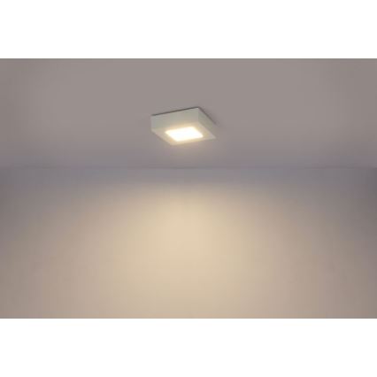 Globo - LED Ceiling light SVENJA 1xLED/9W/230V 3000/4000/6000K